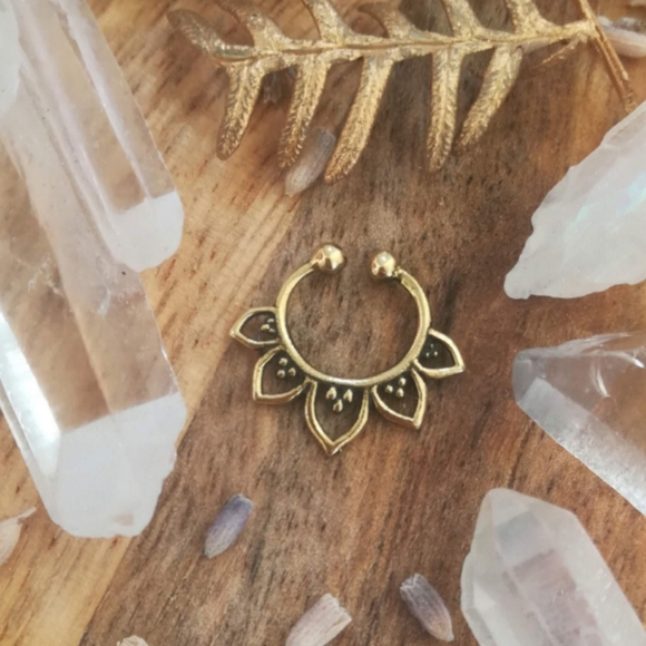 Fake septum nose ring - Picture 5 of 7